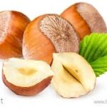 Hazelnut